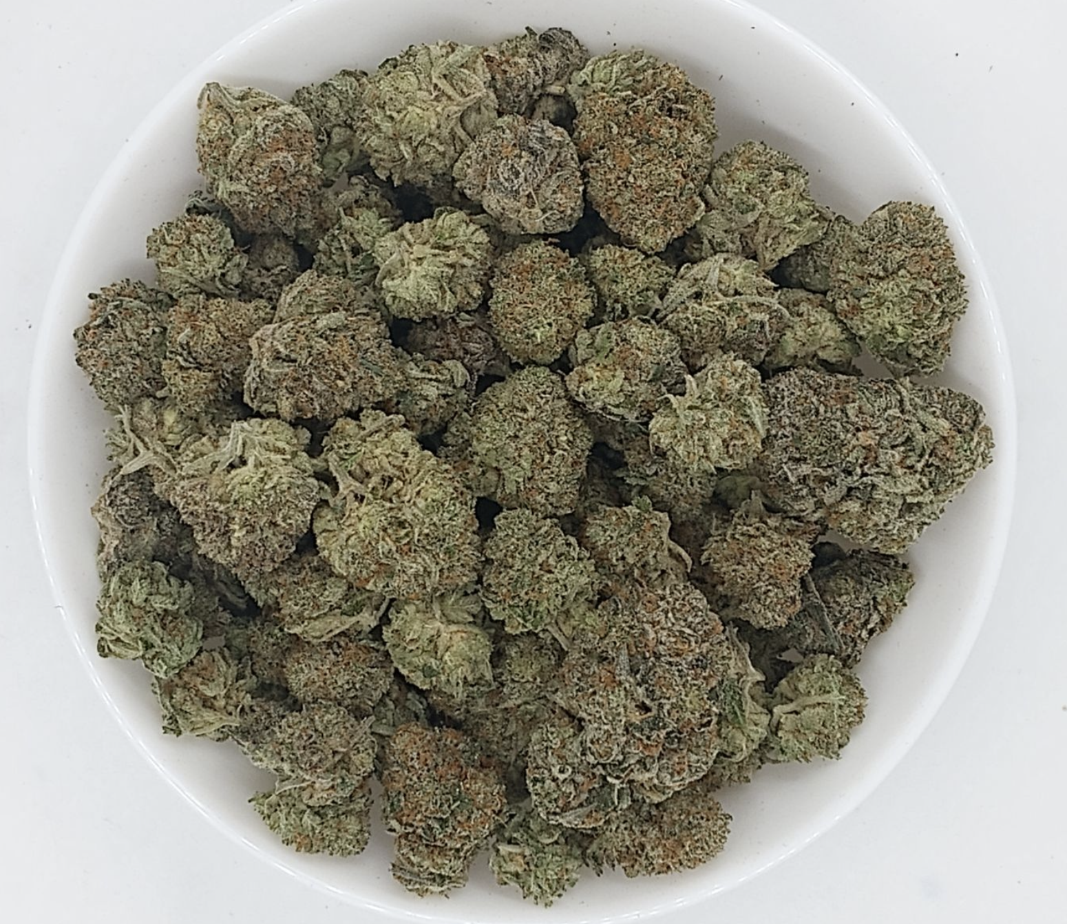 Screen Shot 2023-11-27 at 5.09.25 PM