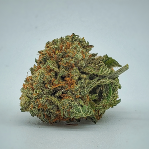 Bhat-Gorilla-300x300