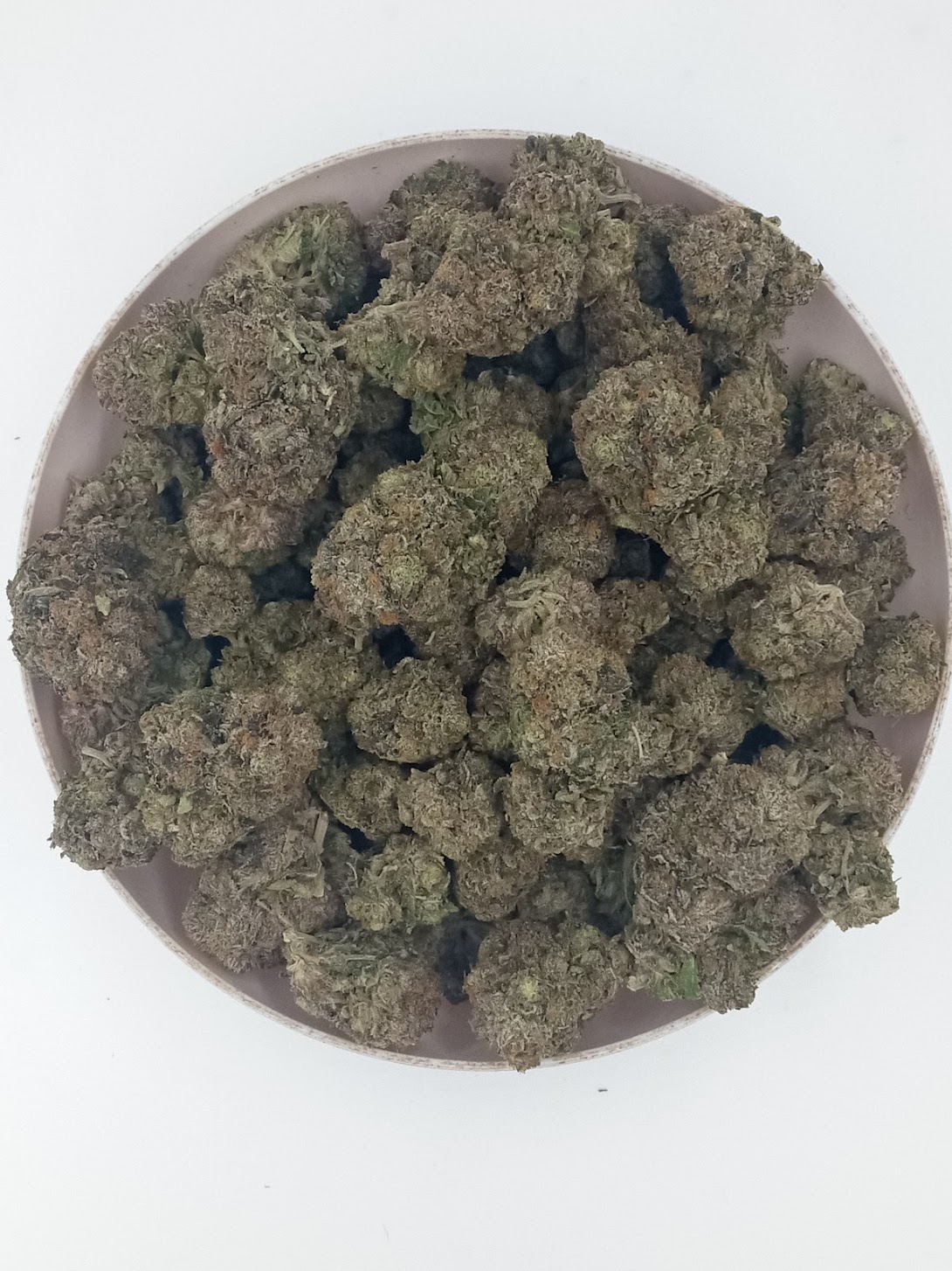 IMG_20230407_162913928