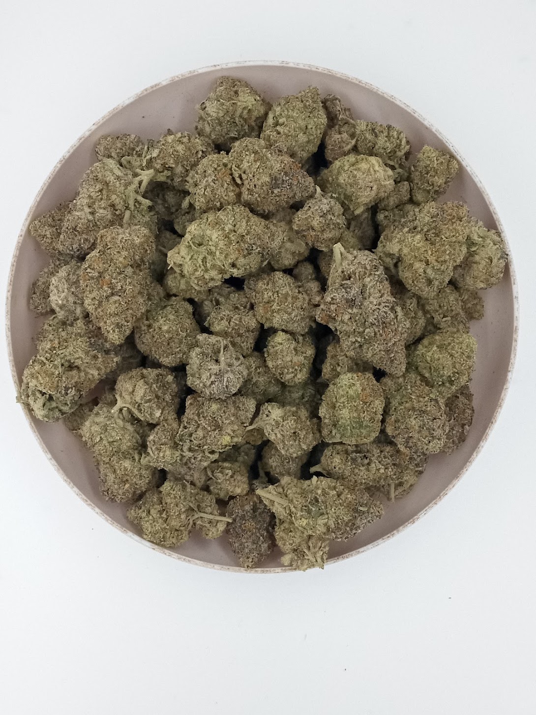 IMG_20230407_145516048