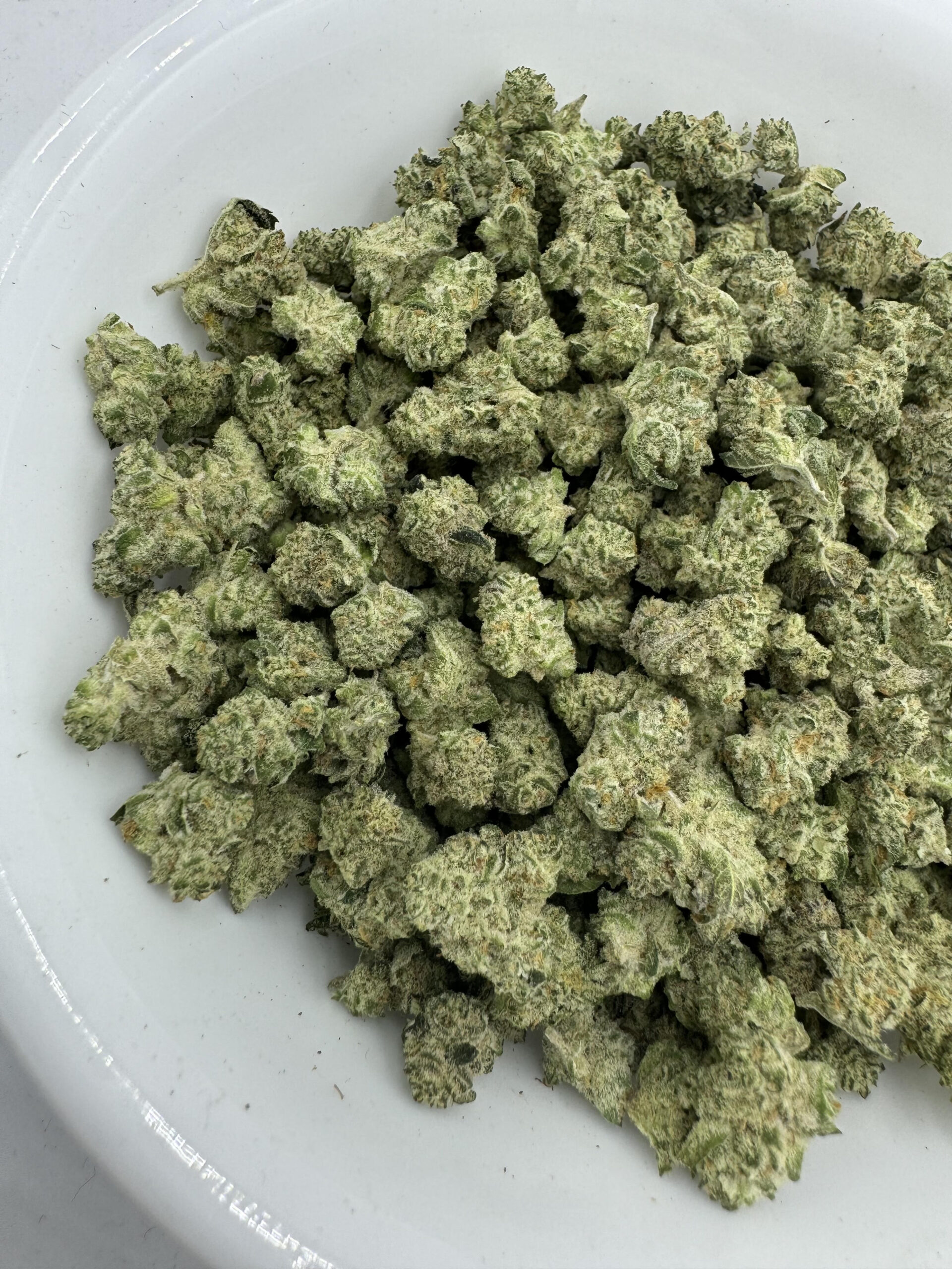 unnamed - 2024-10-31T144657.910