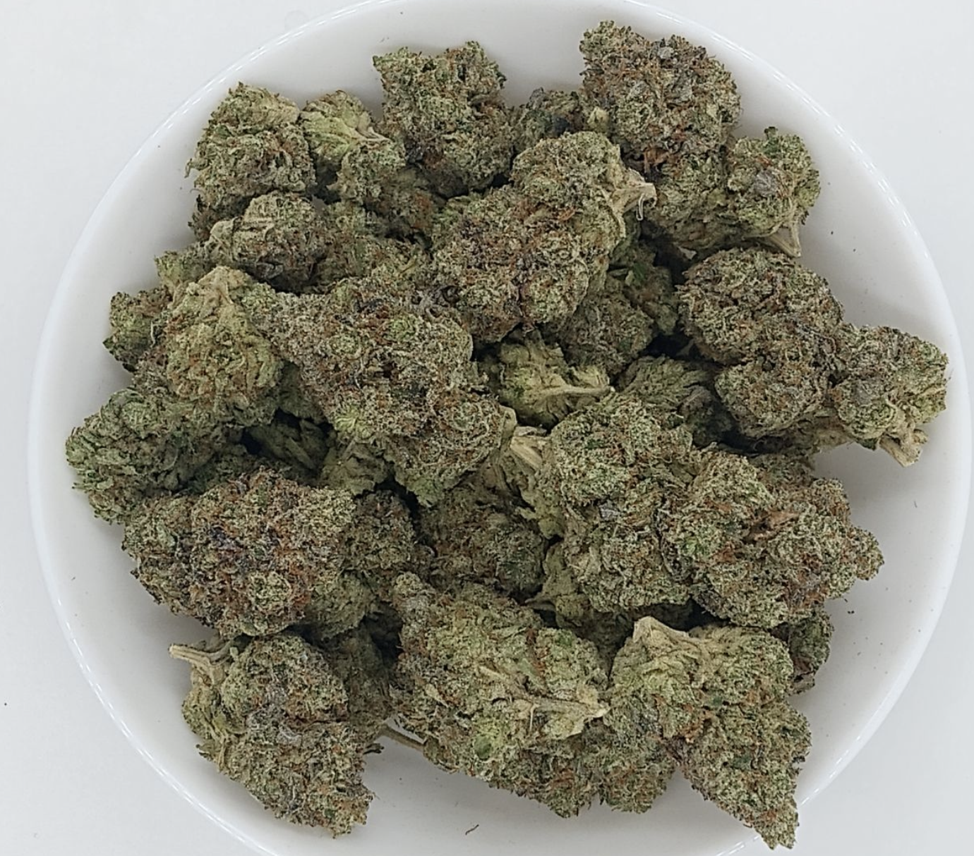 Screen Shot 2024-01-06 at 1.45.55 PM