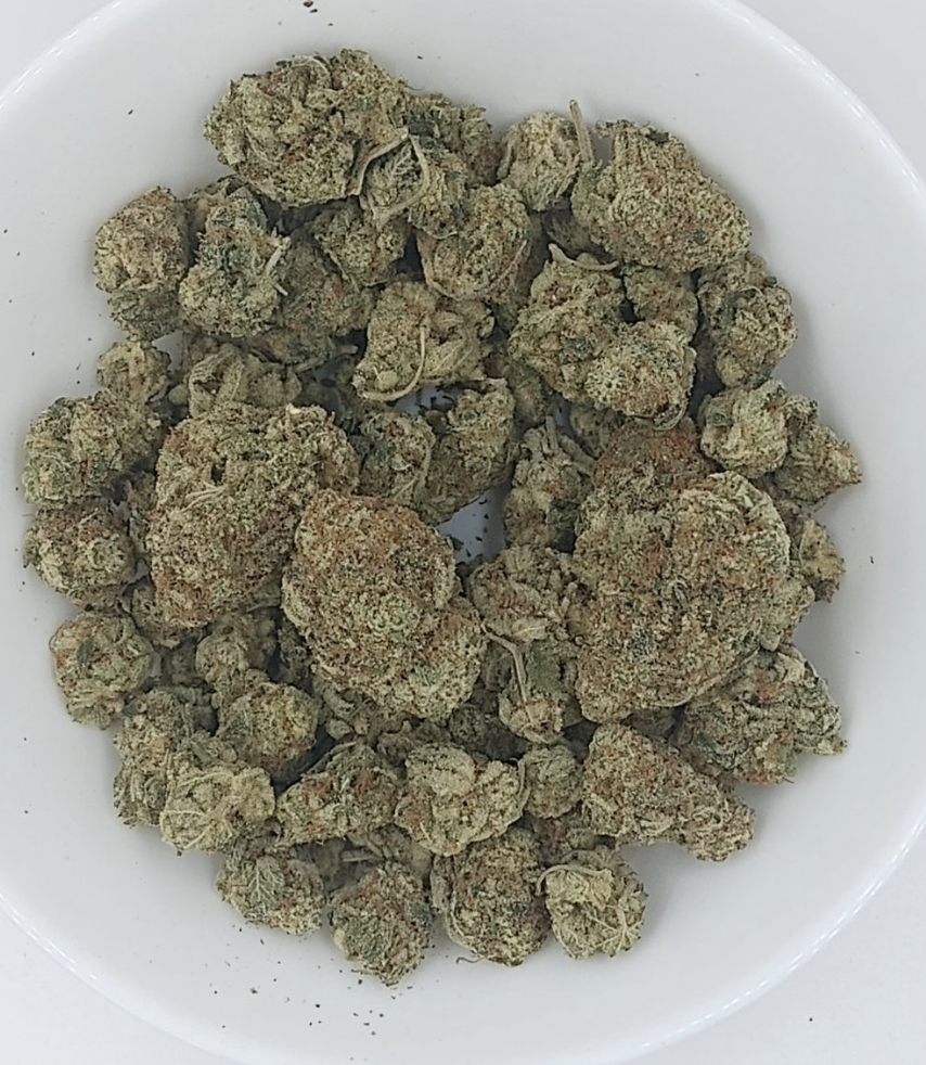 Screen Shot 2024-01-15 at 8.55.54 PM