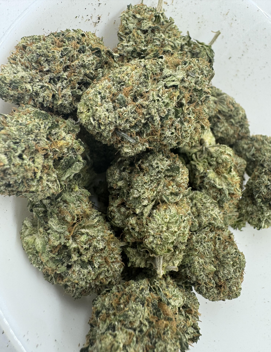 Screen Shot 2024-03-19 at 10.46.27 PM