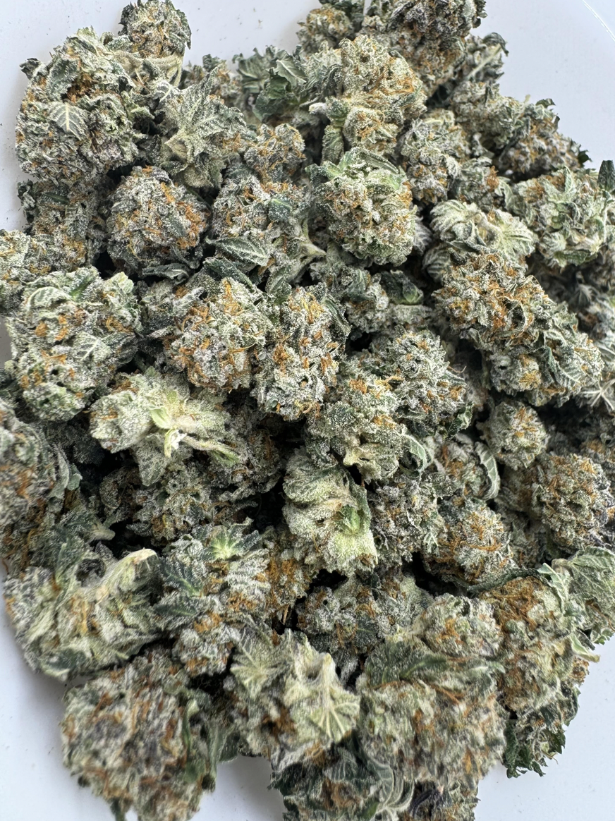 Screen Shot 2024-04-16 at 12.17.22 PM