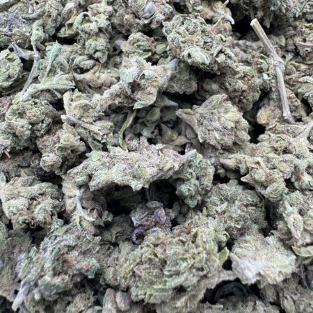 Fruit Roll Up $60 oz