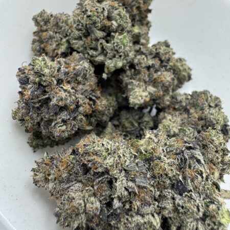 Cincopax - Anxiety Pink