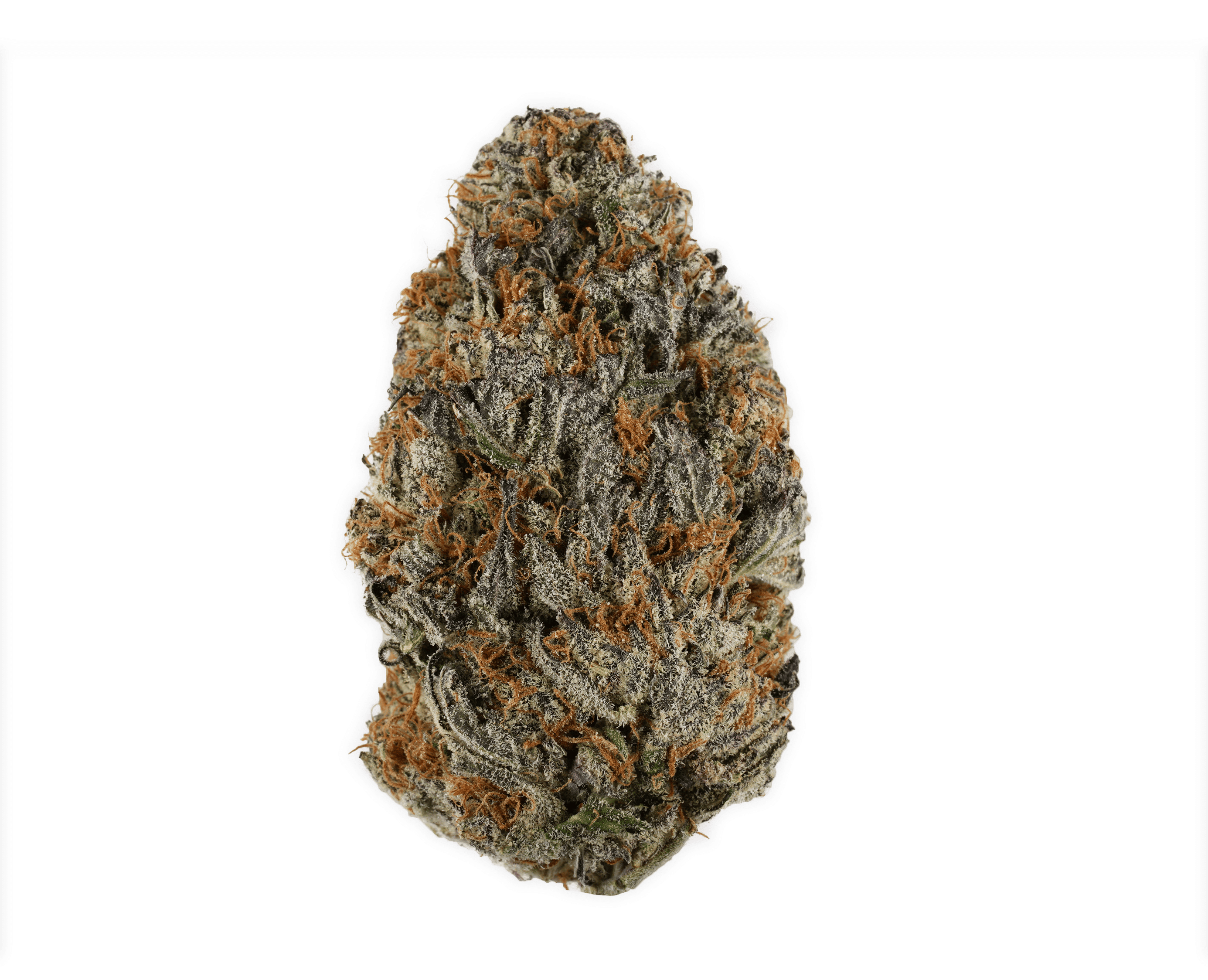 pinky Cincopax Death Bubba - Image 1