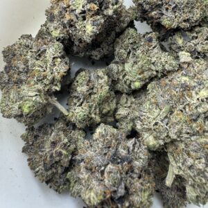 Bubba Kings - Pre 98