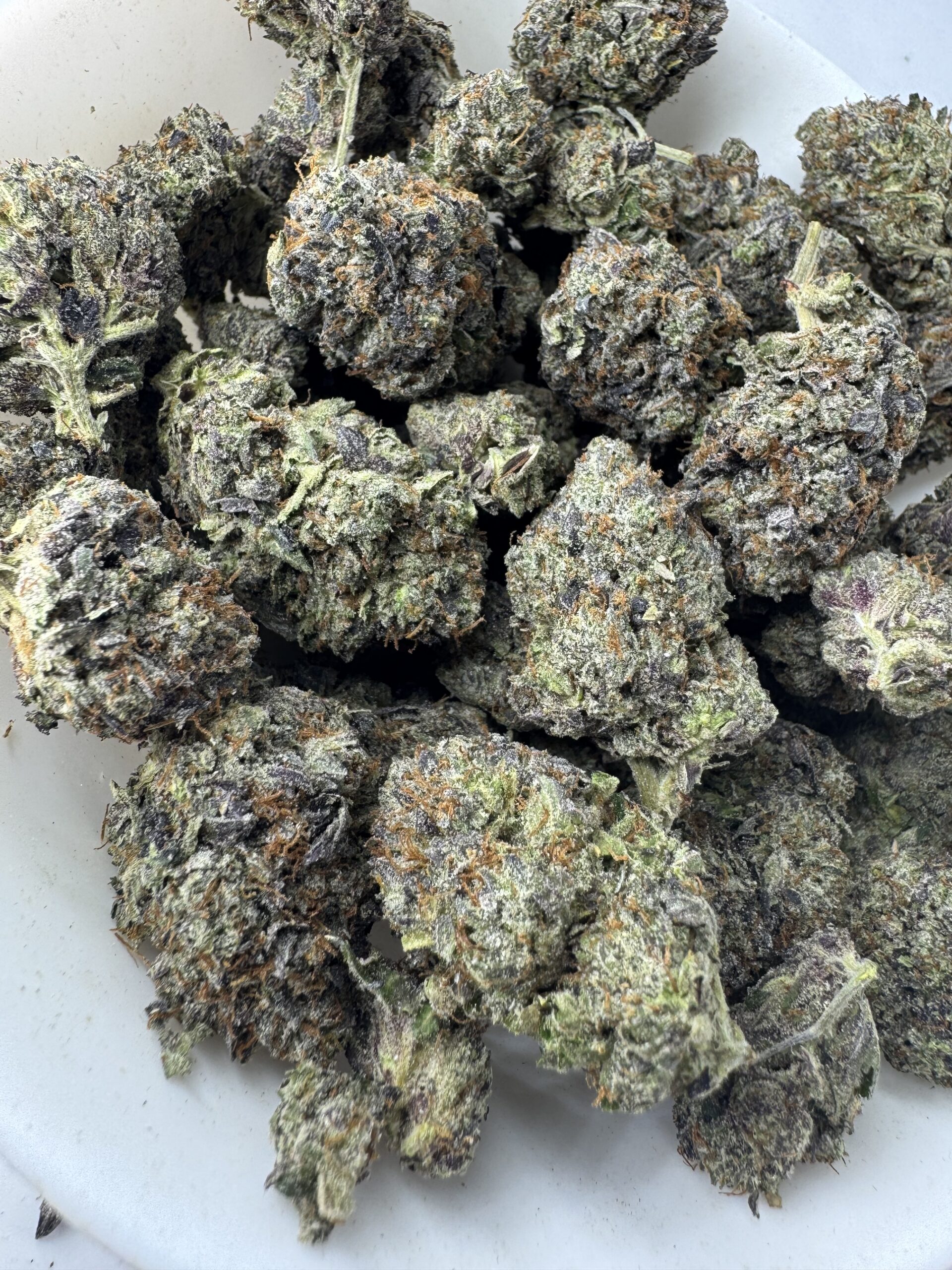 IMG_6357 Bubba Kings - Mike Tyson - Image 1