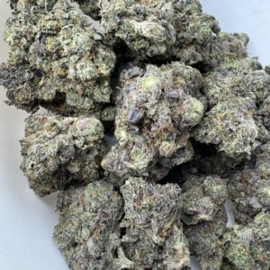 Bubba Kings El Jefe