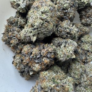 Bubba Kings El Jefe