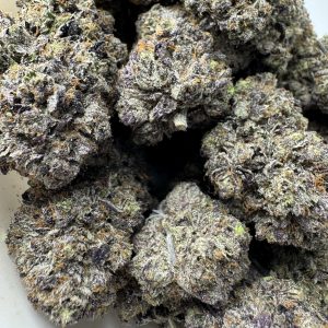 Bubba Kings El Jefe