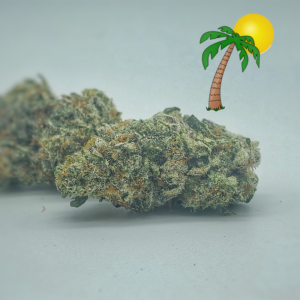 Gelato-Dosi-Do-300x300 Exotic - Lemonchello - Image 1