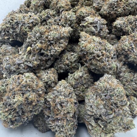 Cincopax Pink Goo
