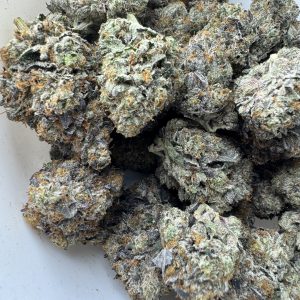 Cincopax Pink Goo