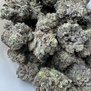 Gucci Pink $140 oz