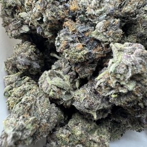Cincopax Pink Goo