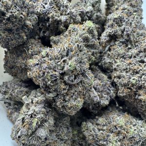 Cincopax Pink Goo