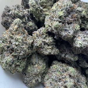 Bubba Kings - Lizard
