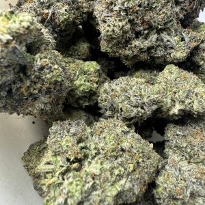 Bubba Kings - Lizard