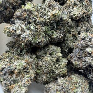 Cincopax Pink Goo