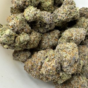 Gelato $100 oz