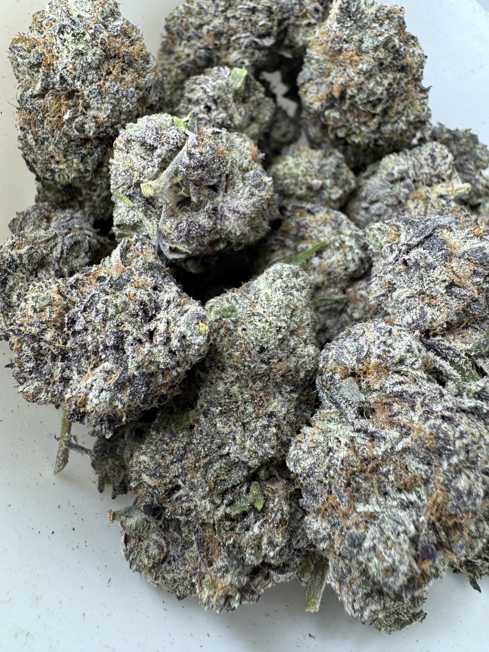 IMG_7110 Gusher $120 oz - Image 1