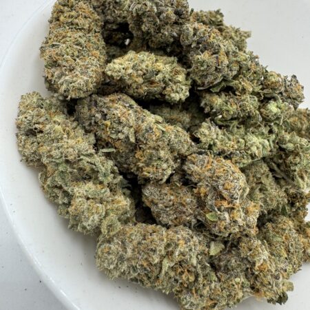 Popsicle $80 oz