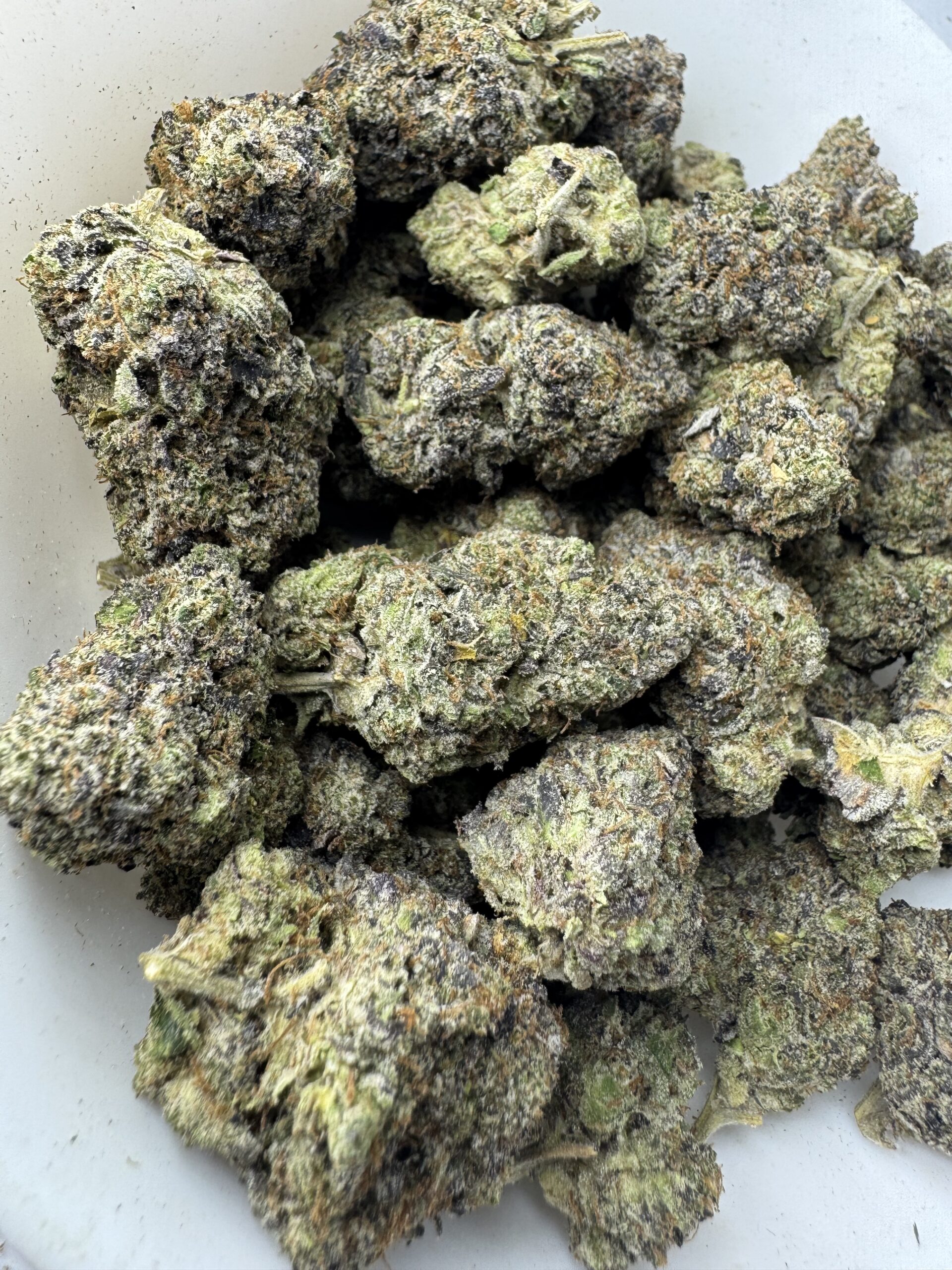 IMG_6518 Cincopax - Anxiety Pink - Image 1