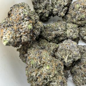 Cincopax - Anxiety Pink