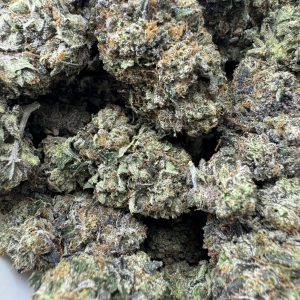 Cincopax - Anxiety Pink