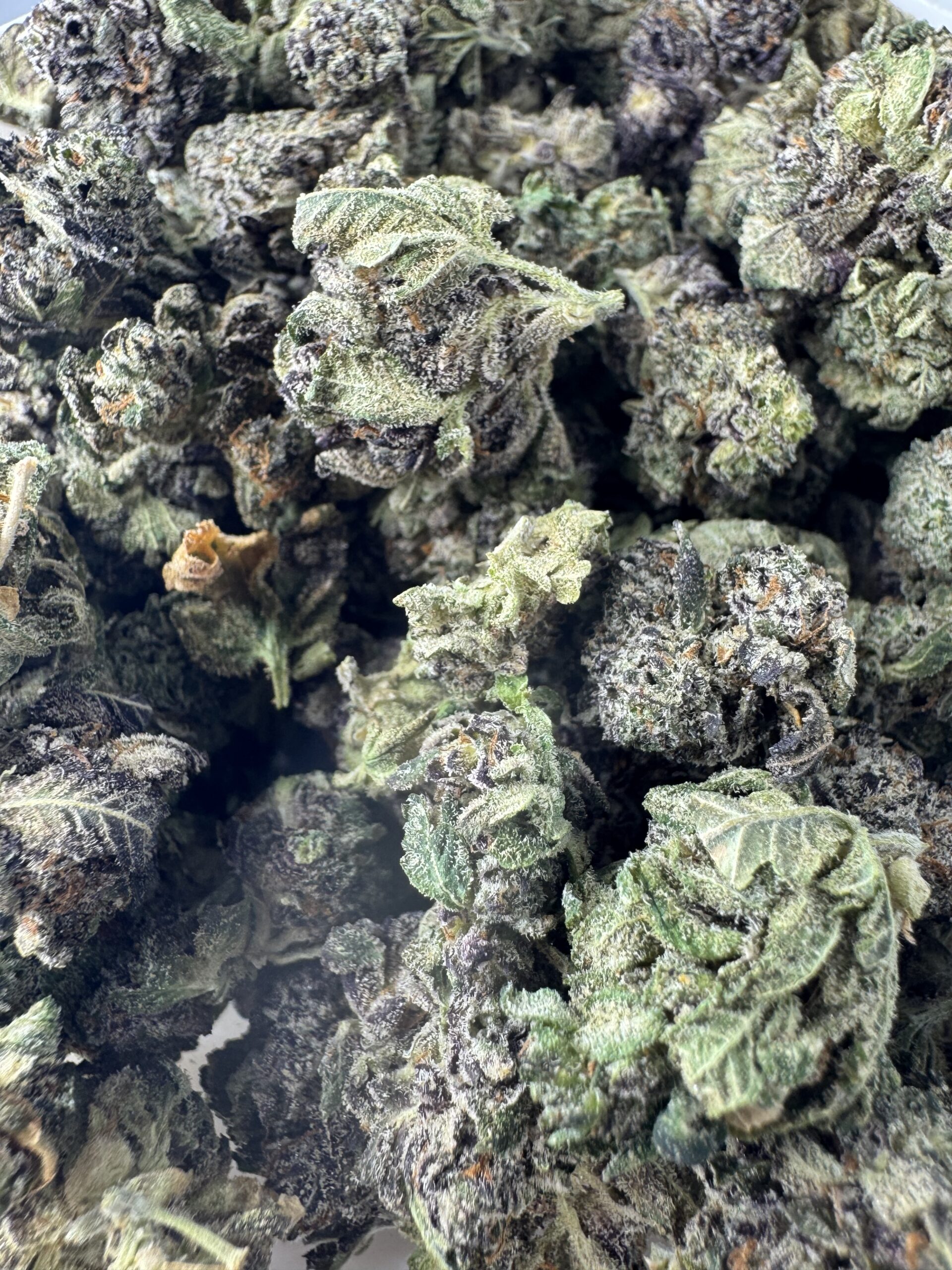 IMG_6137 White Truffle $60 oz - Image 1