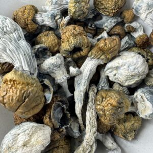 Bluey Vuitton Magic Mushroom