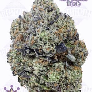 Flavour Kingz Hot Zkull Pink