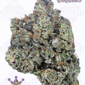 Flavour Kingz Gusherz