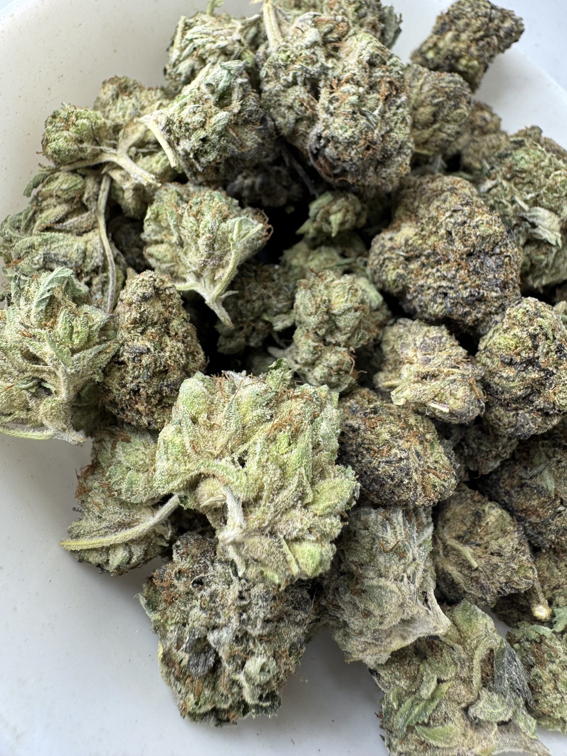 Comatose Pink $70 oz
