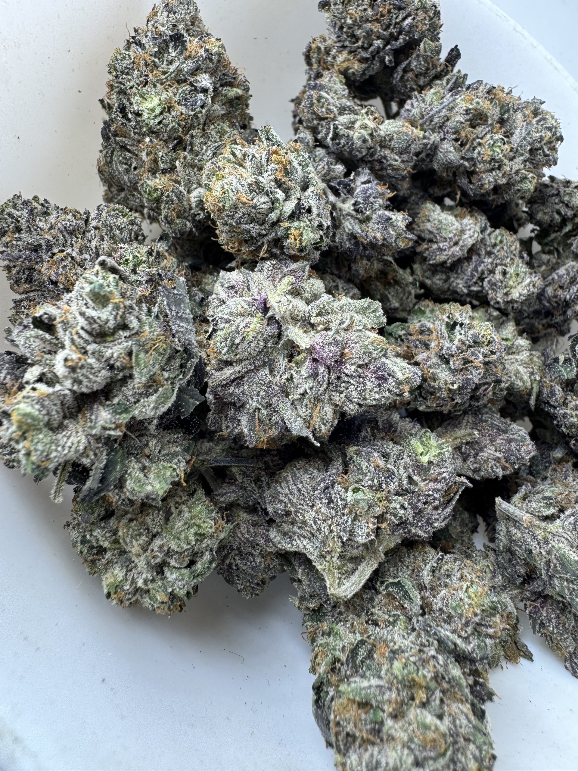 Comatose Pink $130 oz