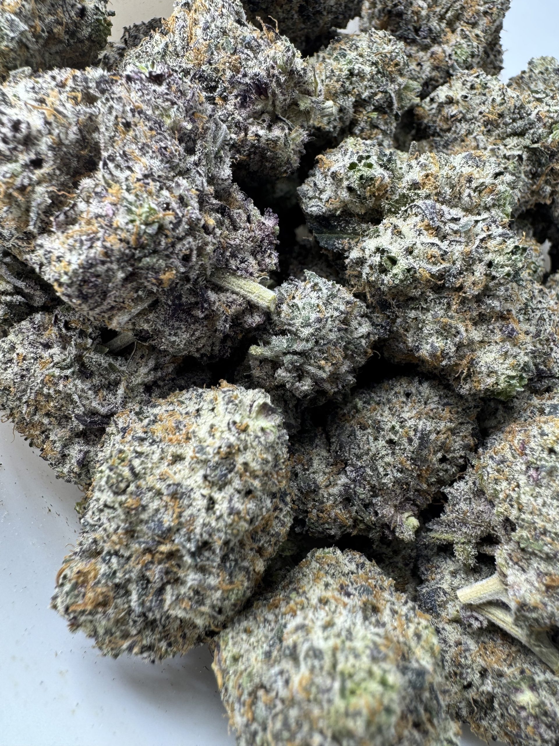 Gelatti $100 oz