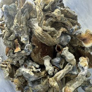 Exotic Jack Frost Magic Mushrooms