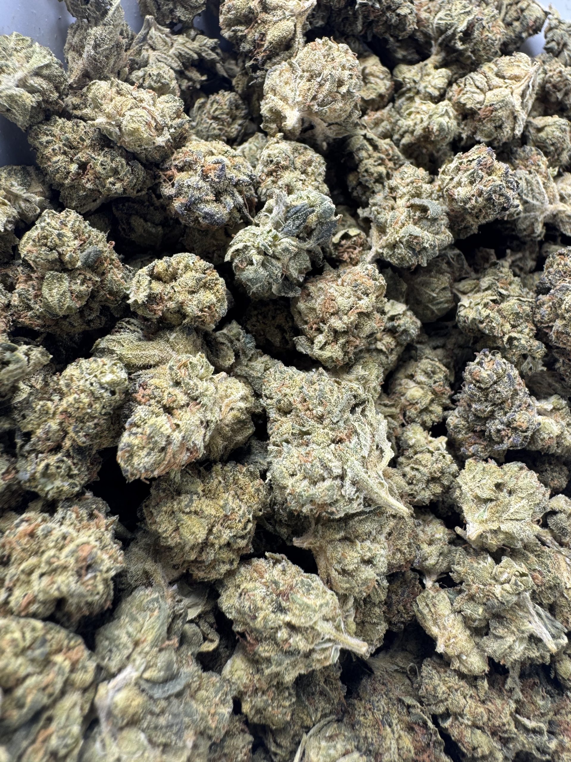 IMG_7705 Ice Cream Cake $60 oz - Image 1